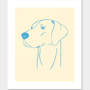 Weimaraner (Beige and Blue) Posters and Art